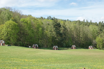 Gietrzwałd - Sanktuarium Maryjne - Droga Krzyżowa © Rafa