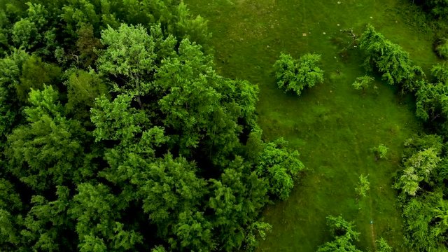 Aerial footage from Cetatuia hill in Ramnicu Valcea, one of the most beautiful places on the outskirts of the city.