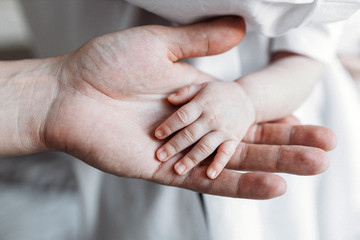 Fototapeta premium A small child's hand of a child in a mother's hand. Love in the family. Family value. Mother's love.The concept of a happy childhood. Newborn baby. Mom holding her childs hand.