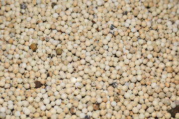 Mixed peppercorns background. Different colored peppercorns, close up.