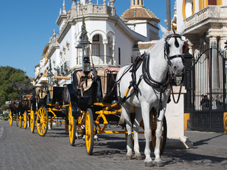 Naklejka na ściany i meble Seville, Spain, November 16, 2019: Horse carriage in front of th
