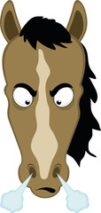 Fototapeta premium Vector illustration of an angry cartoon horse face