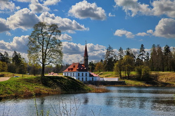 spring landscape with lake