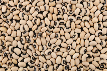 Background texture of dried black-eyed peas or beans, Vigna unguiculata, or cowpea, with a spoonful in a wooden spoon, grown as a staple nutritional crop, as animal fodder and to enrich soil