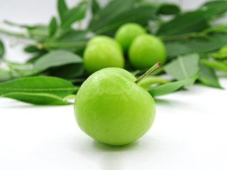 Green plums on plum tree leaves               