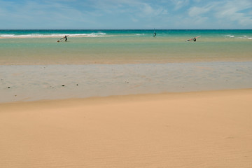 Group of surfers learning to surf on the beach shore in Fuerteventura
