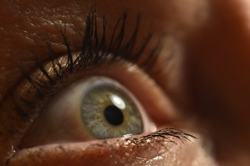 Eye