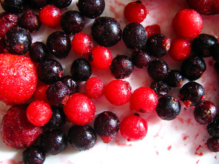 frozen black and red currants on a white plate. a mix of frozen berries