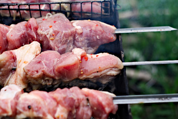 meat on the grill