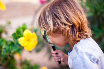 A portrait of kid boy holding magnifying glass and looking at flower. Childhood and education concept