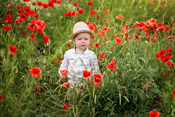Portrait of a happy cute baby boy 1-2 years old in a poppy field at summer sunset.