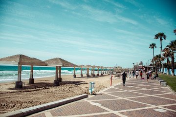 tropical beach with palm trees