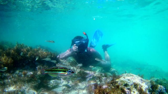Photographer using camera in waterproof box to make photos and video underwater