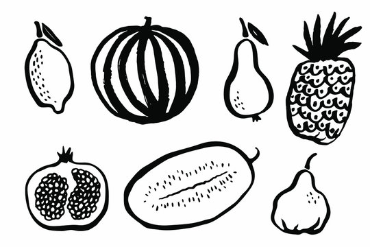 Lemon, watermelon, pear, pomegranate, pineapple, melon vector sketch illustrations isolated on white background. Fruit icons set for logotype, infographic, website or app, package, menu design.