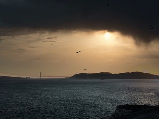 Viewpoint in San Francisco