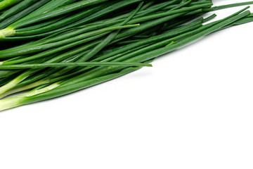 bunch of green fresh onions on a white background