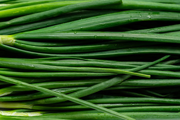 bunch of green fresh onions on a white background