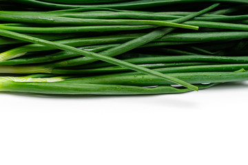 bunch of green fresh onions on a white background