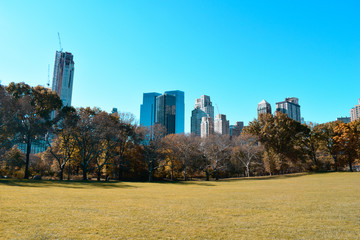 New York Manhattan brooklyn Central Park