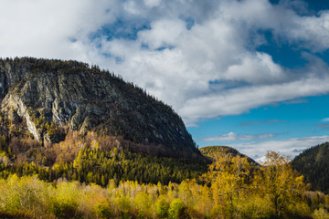 Fototapeta na wymiar Typowy Skandynawski krajobraz, góry na zboczach których rosną drzewa