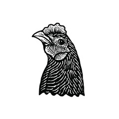 Domestic chicken head Vector illustration