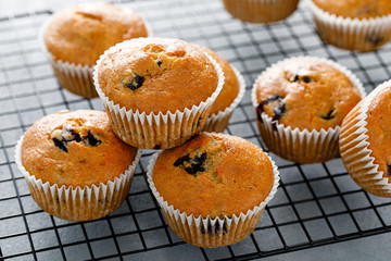 Bleberry banana muffins with fresh berries