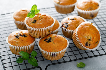Bleberry banana muffins with fresh berries