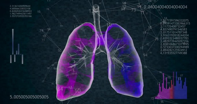 Rotating 360 low polygonal lungs 3D model on black background with animated numbers. 4k