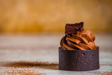 Delectable chocolate dessert