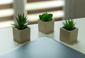 illustration travail bureau vert lumière 