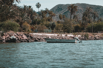 Little wooden boat on the Santa Rosalia river. Mulege. Baja California Sur. Mexico.