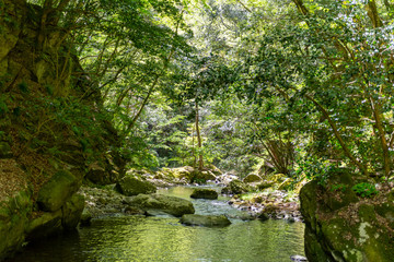 Fototapeta na wymiar 初夏の渓流と滝