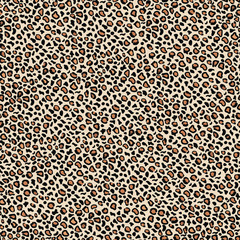 Leopard pattern design, vector illustration background, imitation skin print