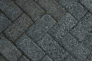 Paving stone texture. texture of the paved tile on the bottom of the street.