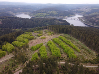 Aerial view of afforestation in Germany. Harz mountains with Oker Dam in Lower Saxony, Germany.
