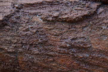 Brown Wooden Background, Wood Texture