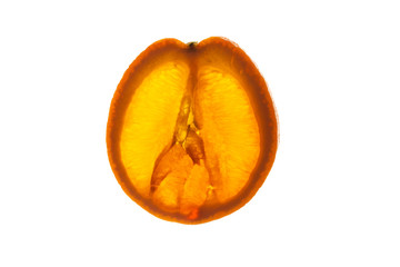 Slice of orange fruit with light shining through backlight showing the structure and details isolated on a white background