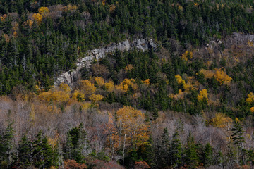 Autumn fall colors on he shore line of Echo lake in the White mountains of New Hampshire