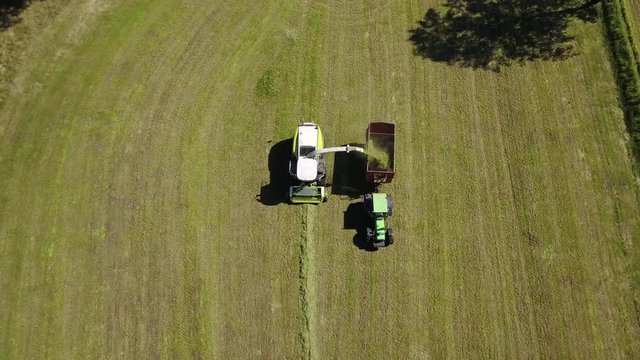 Landwirtschaft: Feldh&auml;cksler, Traktor mit Ladewagen bei Aufnahme von Gras f&uuml;r Grassilage auf einer gem&auml;hten Wiese, Vogelperspektive
