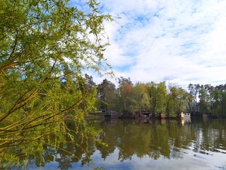 lake and trees