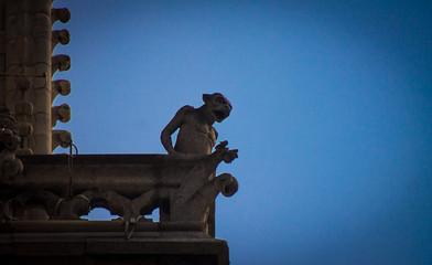 Gargoile on Notre dame Paris