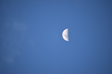 Vista radiante de la luna, en un cuarto menguante, en las horas de la tarde, acompañado de un hermoso marco azul del cielo.