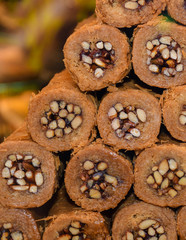 Various types or many colorful assortment of Turkish delights rolls for sale in a shop in Istanbul