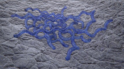 3d illustration of bacteria deadly syphilis lues disease