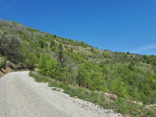 Fototapeta na wymiar View of small trees and mountain lodge
