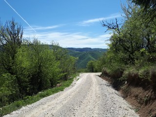 Fototapeta na wymiar Carriage road in the mountains