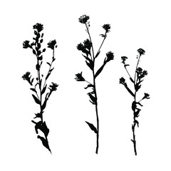 Set of black field grass silhouettes. Decorative grass isolated elements on a white background. Suitable for design postcards, patterns. Stock vector illustration.