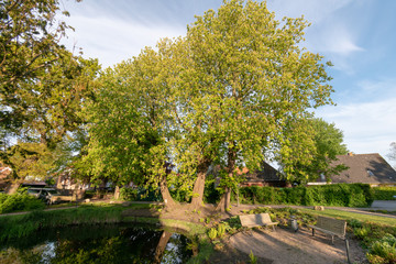 Landschaft bei Greetsiel