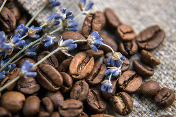 Coffee beans close-up, spilled on the table. Coffee beans on a background of burlap, decorated with branches of dried lavender. Beautifully blurred background. Macro photo.