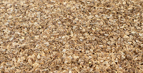 Image of caraway seeds as a background..Seasoning for dishes.
